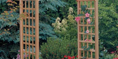 Oblouk pro květiny: originální a krásné nápady pro vytvoření květinového oblouku. Mistrovská třída pro začátečníky krok za krokem (foto + video)